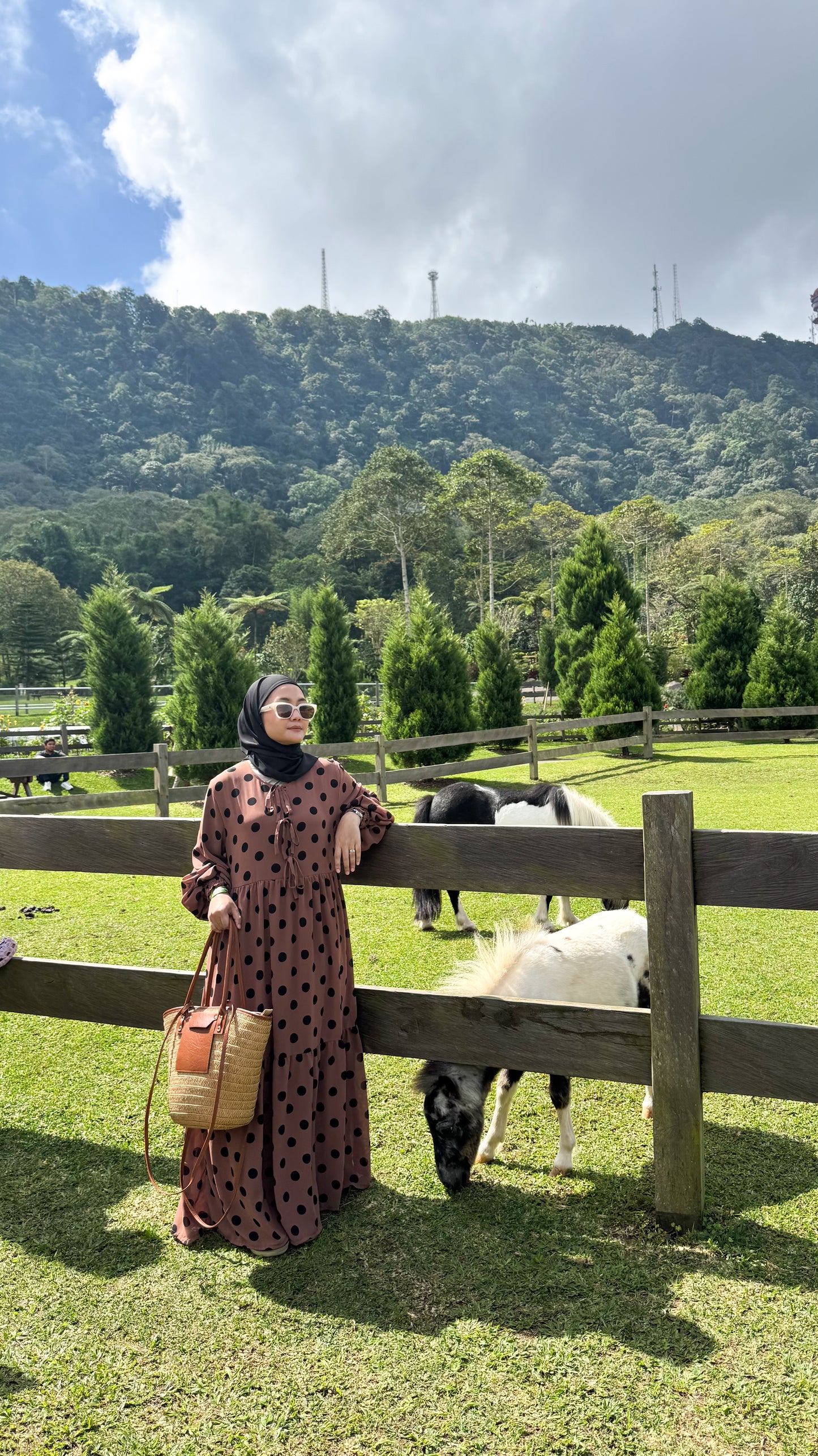Darla Dress