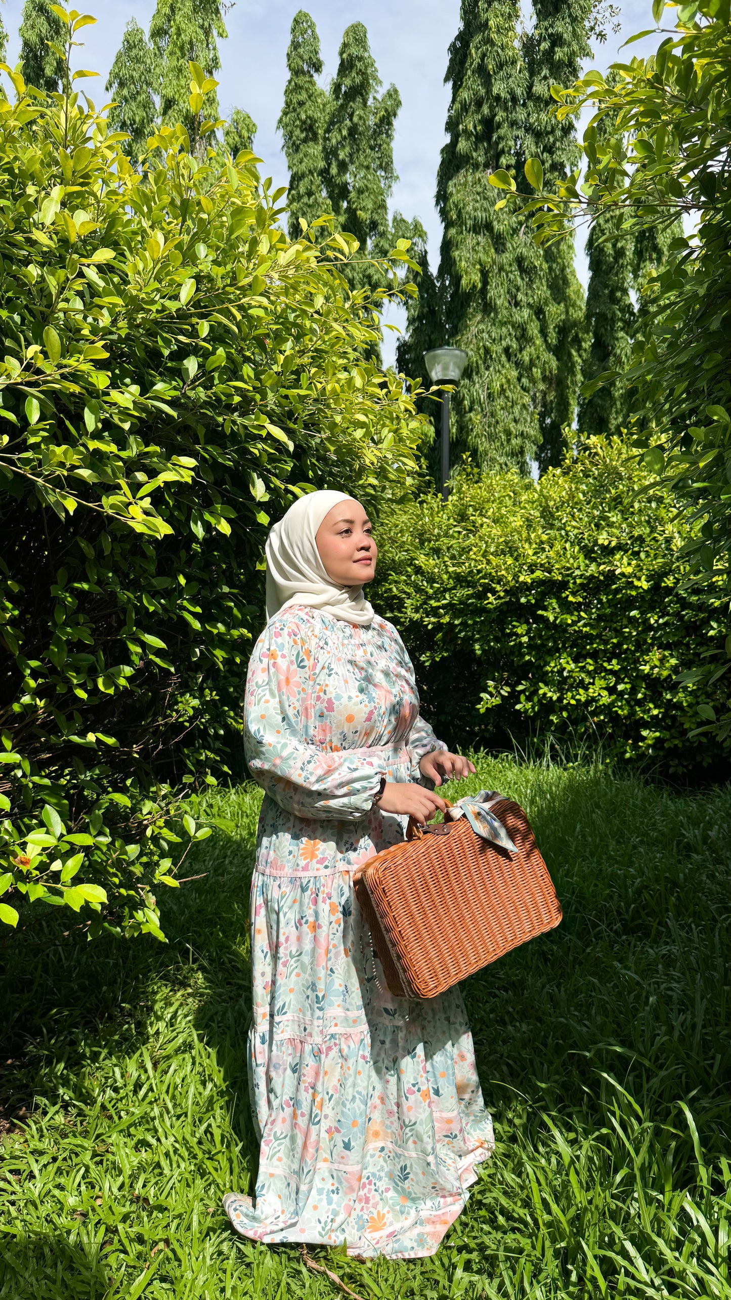 Hira Dress